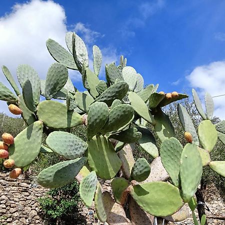 Le Drupe Villa Chiavari Luaran gambar