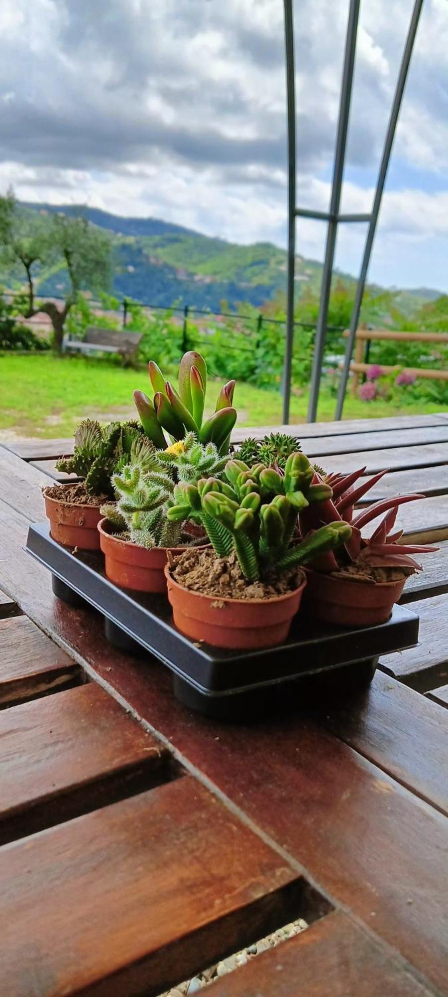 Le Drupe Villa Chiavari Luaran gambar